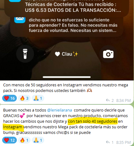 Captura real del caso de ≈40 seguidores